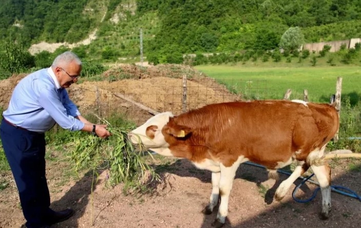 Ordu Büyükşehir’den Besicilere Destek: Yüzler Güldü