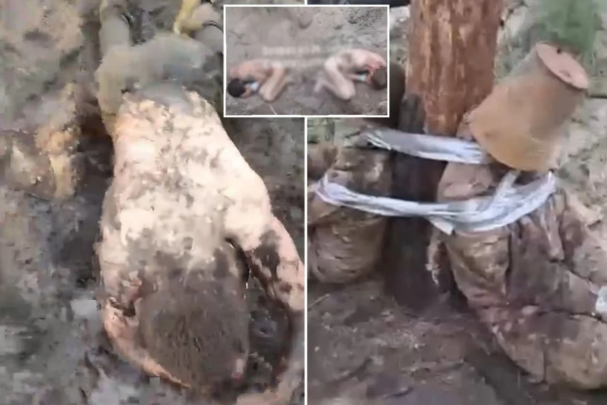 Putin'in komutanları neler yapmış neler! Rus ordusunda skandal görüntüler!